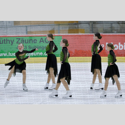 Cool Dreams Novice - Swiss Ice Skating Test Skate 2025 [109]