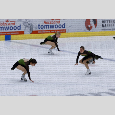 Cool Dreams Novice - Swiss Ice Skating Test Skate 2025 [118]