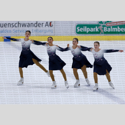 Starlight Novice - Swiss Ice Skating Test Skate 2025 [100]