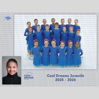 Druck: Cool Dreams Juvenile 25-26, Team 1, #311