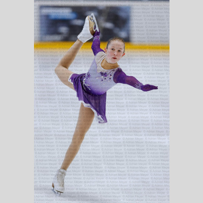 4. Stern - Burgdorfer Cup 2026 [1444]