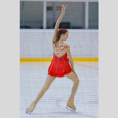 Basic Novice ältere - Burgdorfer Cup 2026 [2006]