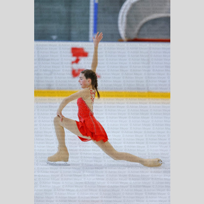 Basic Novice ältere - Burgdorfer Cup 2026 [2011]