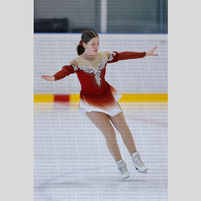 Basic Novice ältere - Burgdorfer Cup 2026 [2012]