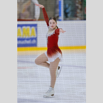 Basic Novice ältere - Burgdorfer Cup 2026 [2014]