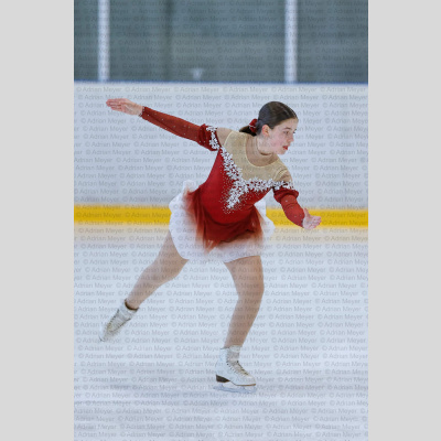 Basic Novice ältere - Burgdorfer Cup 2026 [2015]