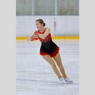 Basic Novice ältere - Burgdorfer Cup 2026 [2018]