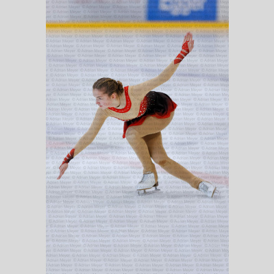 Basic Novice ältere - Burgdorfer Cup 2026 [2019]