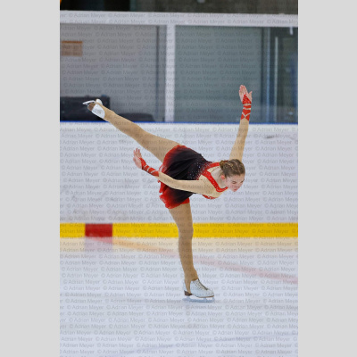 Basic Novice ältere - Burgdorfer Cup 2026 [2020]