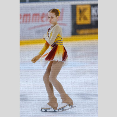 Basic Novice ältere - Burgdorfer Cup 2026 [2025]