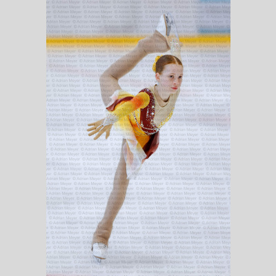 Basic Novice ältere - Burgdorfer Cup 2026 [2028]