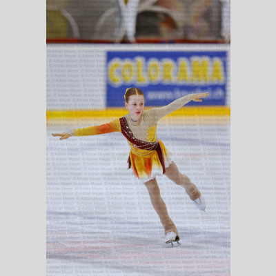 Basic Novice ältere - Burgdorfer Cup 2026 [2029]