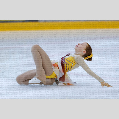 Basic Novice ältere - Burgdorfer Cup 2026 [2030]