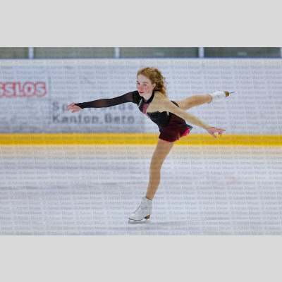 Basic Novice ältere - Burgdorfer Cup 2026 [2031]