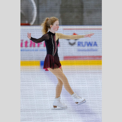 Basic Novice ältere - Burgdorfer Cup 2026 [2032]