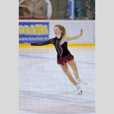 Basic Novice ältere - Burgdorfer Cup 2026 [2033]