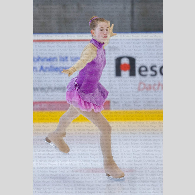 Basic Novice ältere - Burgdorfer Cup 2026 [2063]