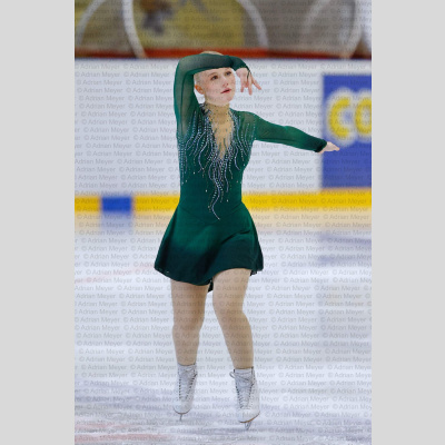 Basic Novice ältere - Burgdorfer Cup 2026 [2065]