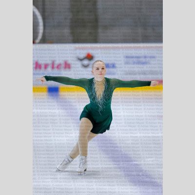 Basic Novice ältere - Burgdorfer Cup 2026 [2068]