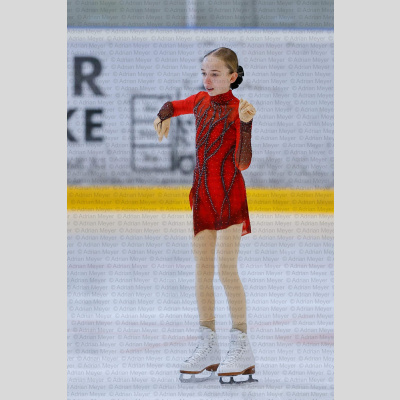 Basic Novice ältere - Burgdorfer Cup 2026 [2081]