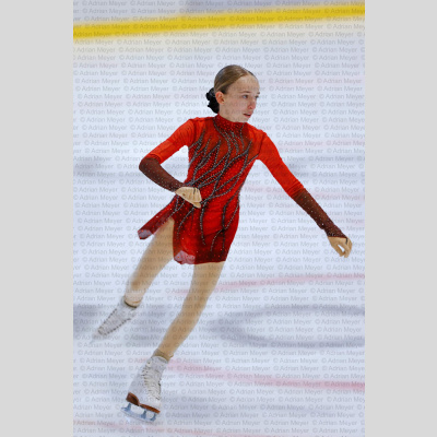 Basic Novice ältere - Burgdorfer Cup 2026 [2082]