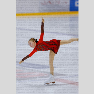 Basic Novice ältere - Burgdorfer Cup 2026 [2084]