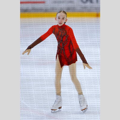 Basic Novice ältere - Burgdorfer Cup 2026 [2085]