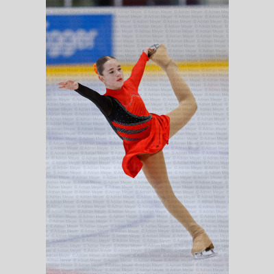 Basic Novice ältere - Burgdorfer Cup 2026 [2086]