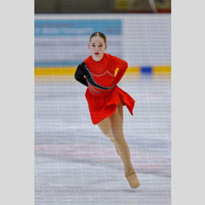 Basic Novice ältere - Burgdorfer Cup 2026 [2088]