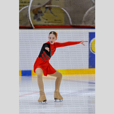 Basic Novice ältere - Burgdorfer Cup 2026 [2090]