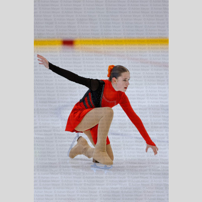 Basic Novice ältere - Burgdorfer Cup 2026 [2091]