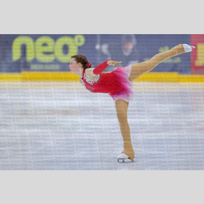 Basic Novice ältere - Burgdorfer Cup 2026 [2108]