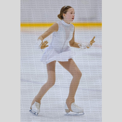 Basic Novice ältere - Burgdorfer Cup 2026 [2114]