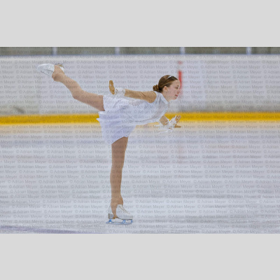 Basic Novice ältere - Burgdorfer Cup 2026 [2115]