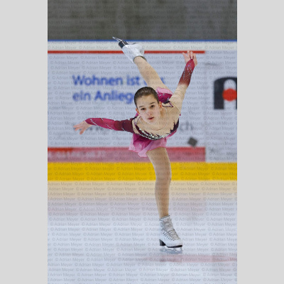 Basic Novice jüngere - Burgdorfer Cup 2026 [3010]