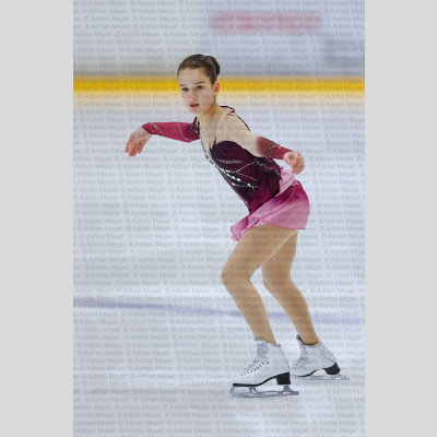 Basic Novice jüngere - Burgdorfer Cup 2026 [3011]