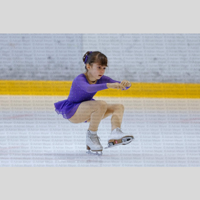 Basic Novice jüngere - Burgdorfer Cup 2026 [3043]