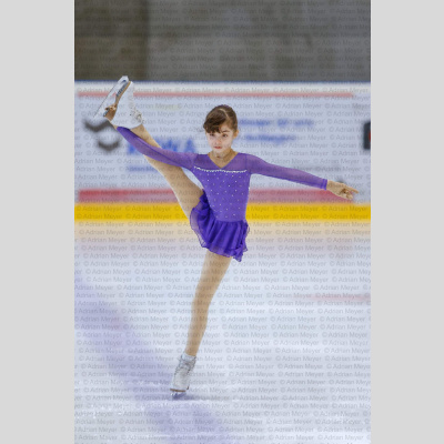 Basic Novice jüngere - Burgdorfer Cup 2026 [3045]