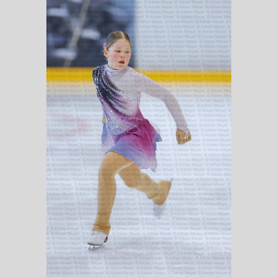 Basic Novice jüngere - Burgdorfer Cup 2026 [3075]