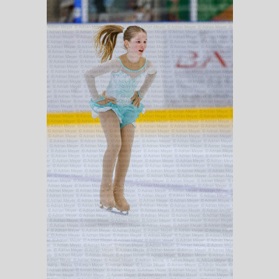 Basic Novice jüngere - Burgdorfer Cup 2026 [3079]