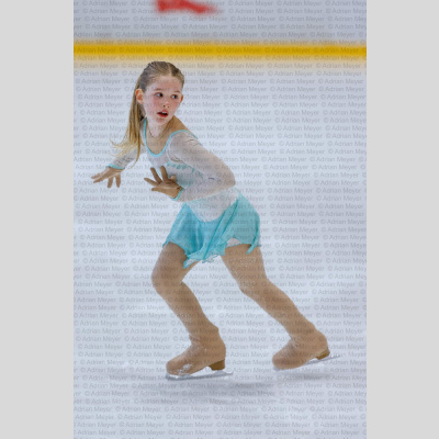 Basic Novice jüngere - Burgdorfer Cup 2026 [3085]