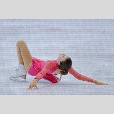 Basic Novice jüngere - Burgdorfer Cup 2026 [3091]