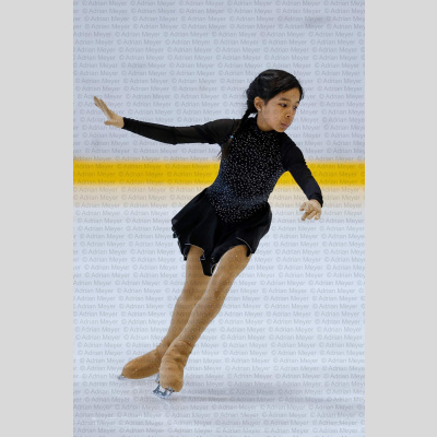 Basic Novice jüngere - Burgdorfer Cup 2026 [3097]