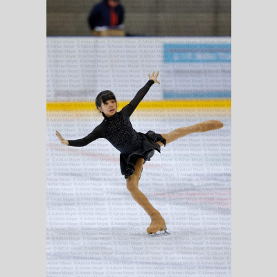 Basic Novice jüngere - Burgdorfer Cup 2026 [3100]