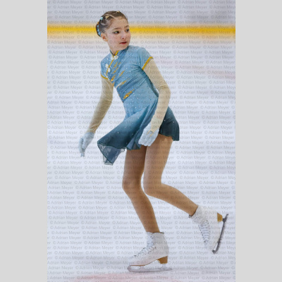 Basic Novice jüngere - Burgdorfer Cup 2026 [3111]