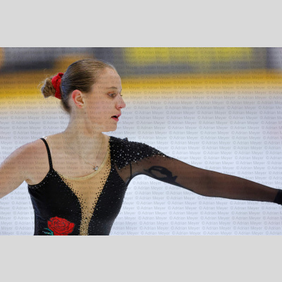 Basic Novice Ü16 - Burgdorfer Cup 2026 [5008]