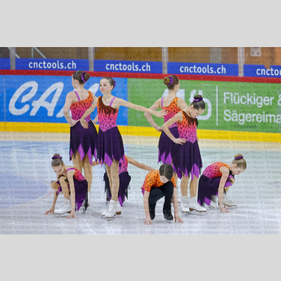 Snowdrops Juvenile at 2. SYS Trophy Huttwil 2026 [104]