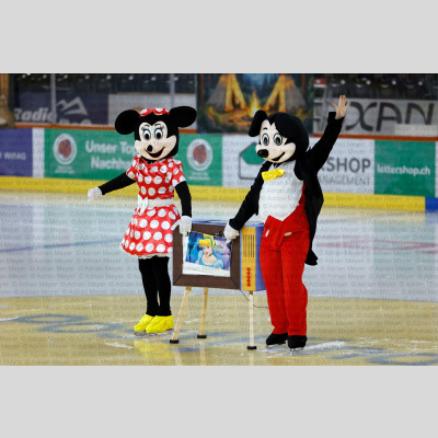 Eislauf SCB Schaulaufen 2026 [100]