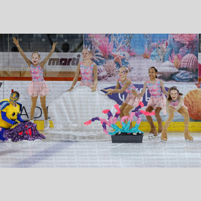 Eislauf SCB Schaulaufen 2026 [281]