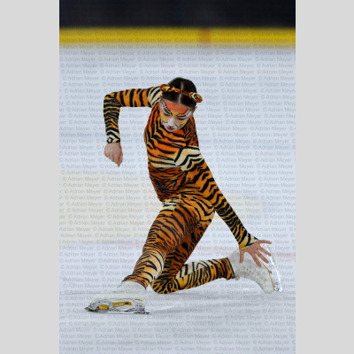 Eislauf SCB Schaulaufen 2026 [441]